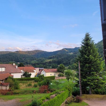 Appartement Chaleureux Au Coeur Des Hautes Vosges Ventron Dış mekan fotoğraf
