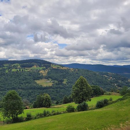 Appartement Chaleureux Au Coeur Des Hautes Vosges Ventron Dış mekan fotoğraf