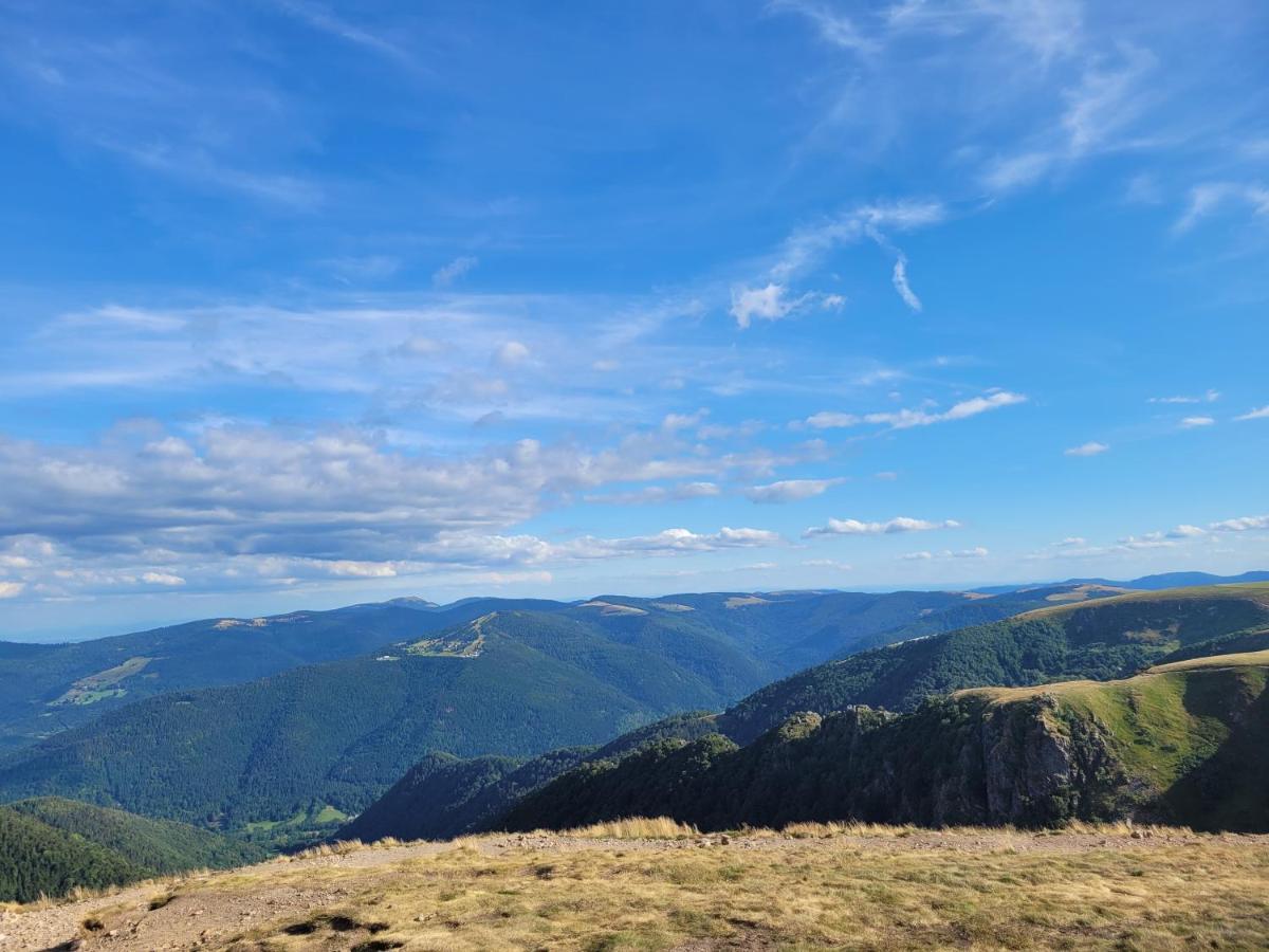 Appartement Chaleureux Au Coeur Des Hautes Vosges Ventron Dış mekan fotoğraf