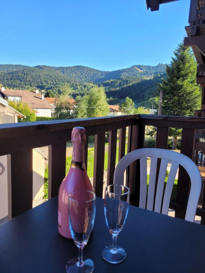 Appartement Chaleureux Au Coeur Des Hautes Vosges Ventron Dış mekan fotoğraf