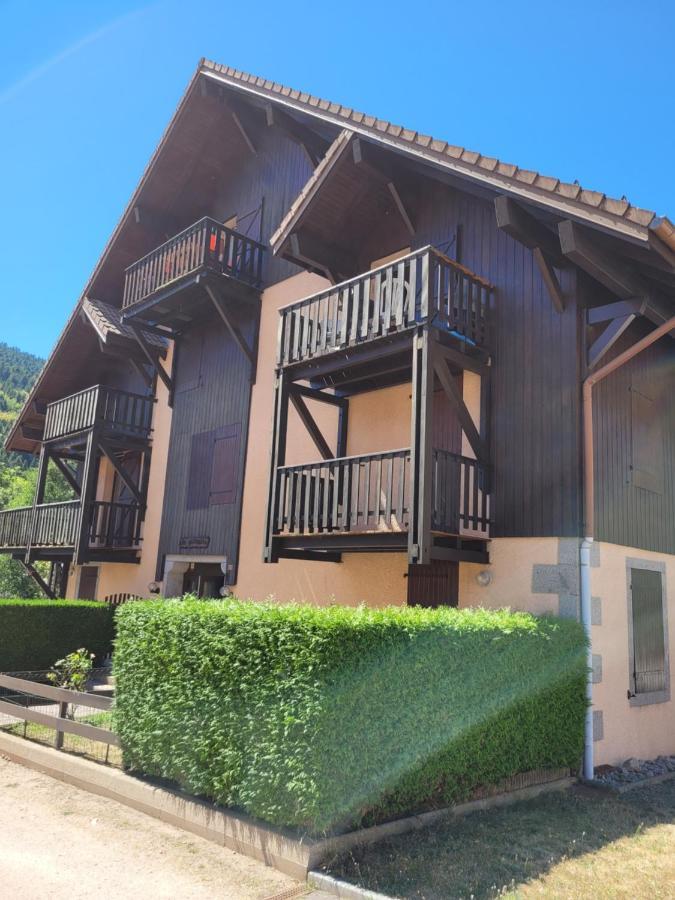 Appartement Chaleureux Au Coeur Des Hautes Vosges Ventron Dış mekan fotoğraf