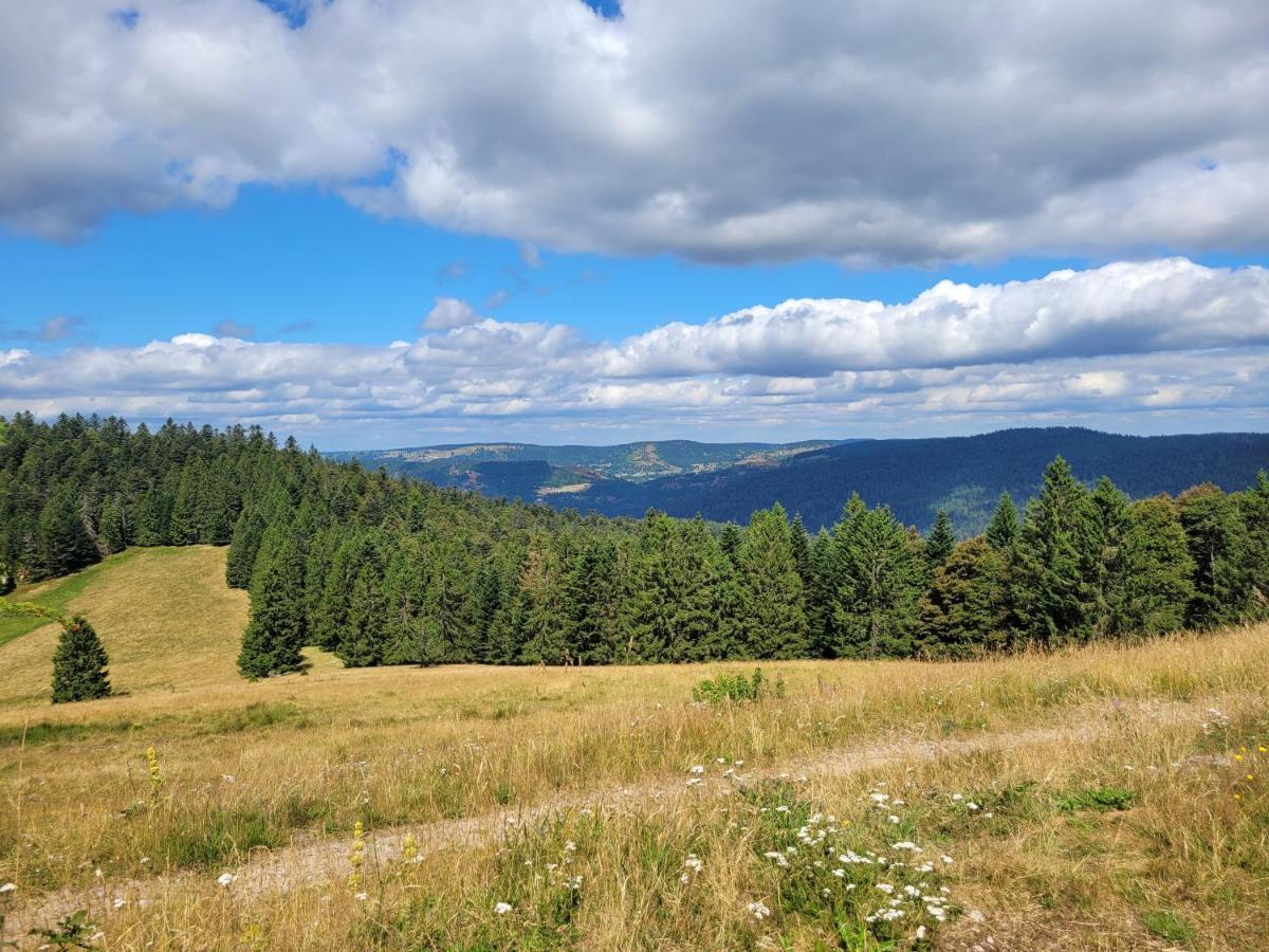 Appartement Chaleureux Au Coeur Des Hautes Vosges Ventron Dış mekan fotoğraf