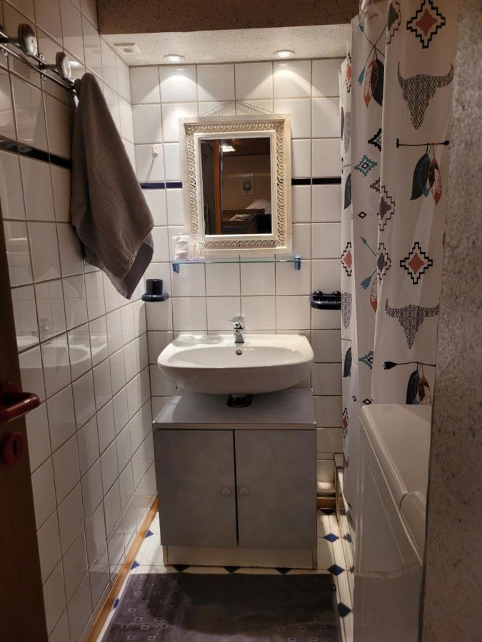 Appartement Chaleureux Au Coeur Des Hautes Vosges Ventron Dış mekan fotoğraf