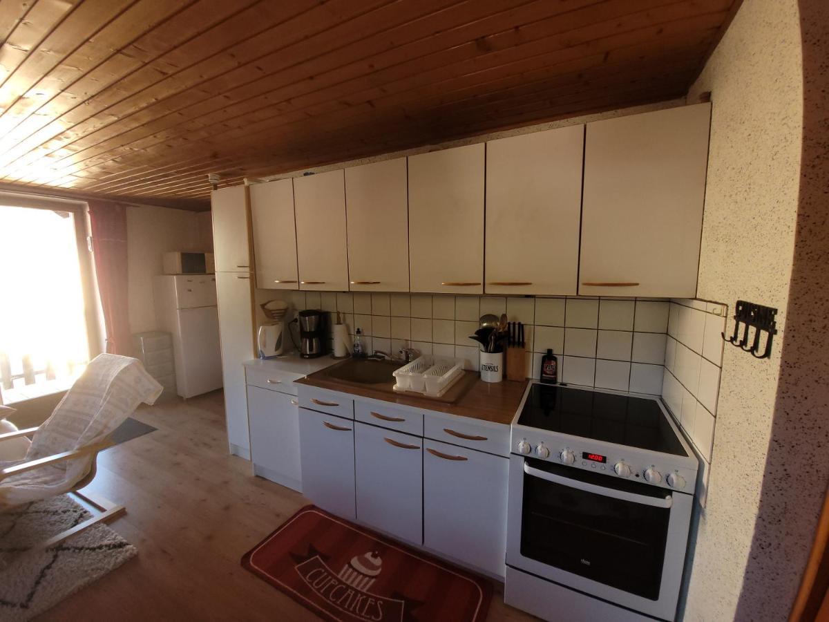 Appartement Chaleureux Au Coeur Des Hautes Vosges Ventron Dış mekan fotoğraf