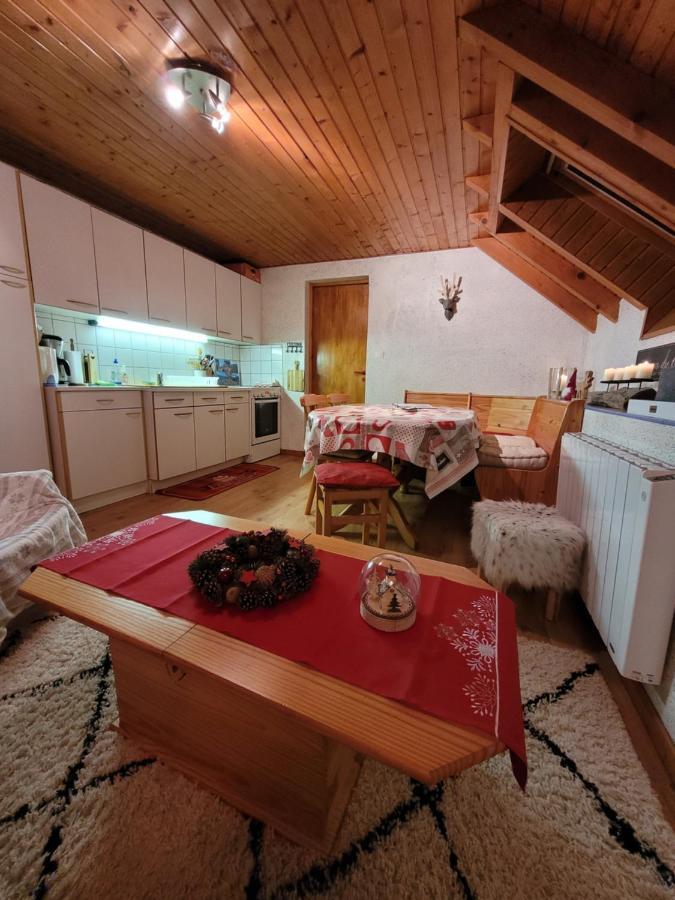 Appartement Chaleureux Au Coeur Des Hautes Vosges Ventron Dış mekan fotoğraf