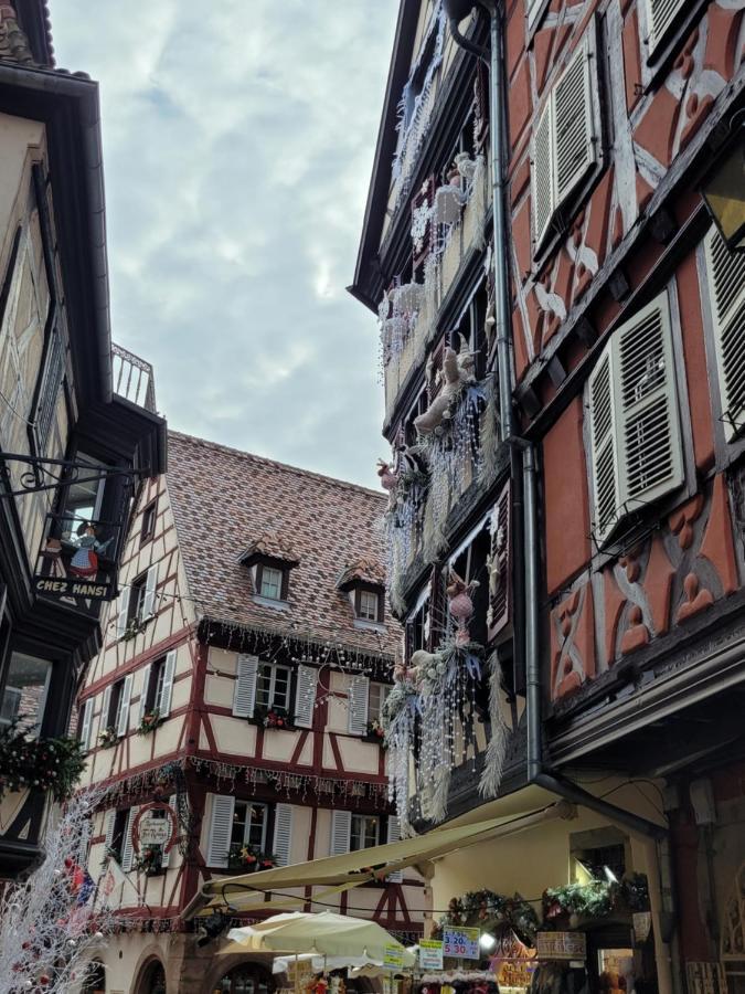 Appartement Chaleureux Au Coeur Des Hautes Vosges Ventron Dış mekan fotoğraf