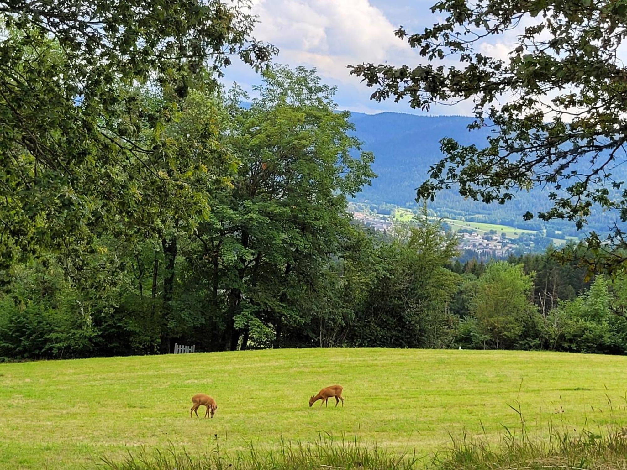 Appartement Chaleureux Au Coeur Des Hautes Vosges Ventron Dış mekan fotoğraf